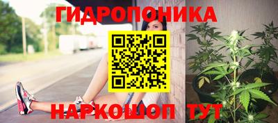 эйфоретик Донской