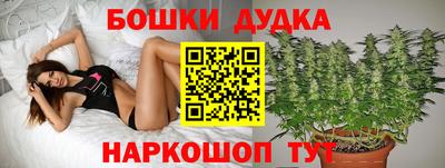 эйфоретик Донской