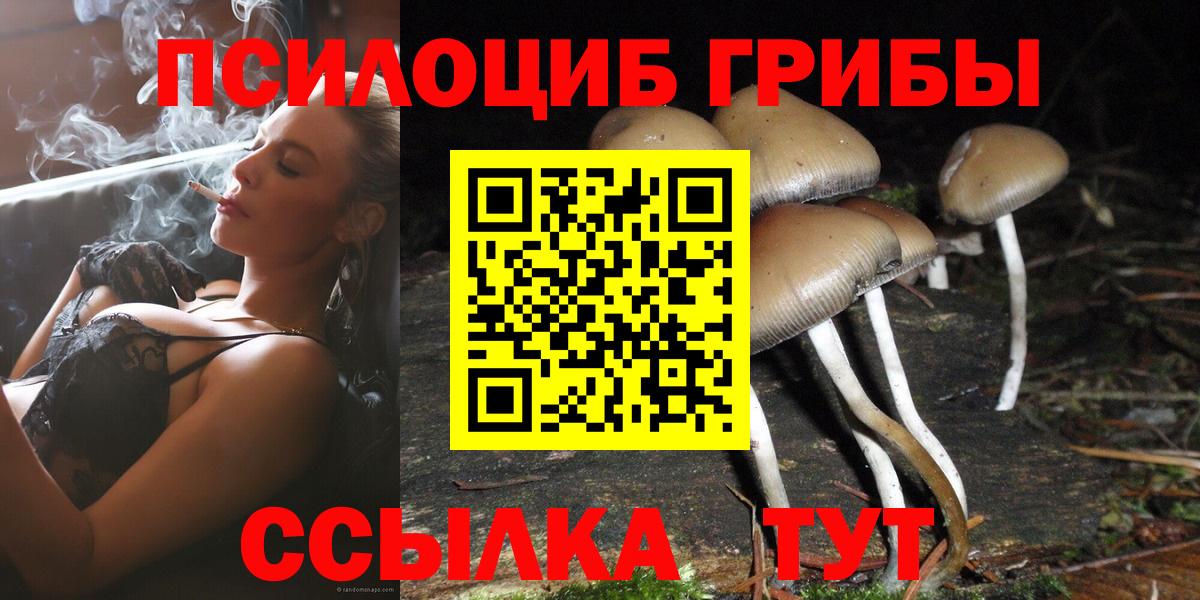 Псилоцибиновые грибы MAGIC MUSHROOMS Людиново